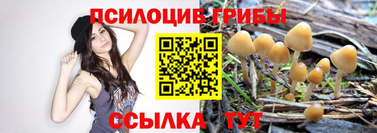 Галлюциногенные грибы Magic Shrooms Рассказово